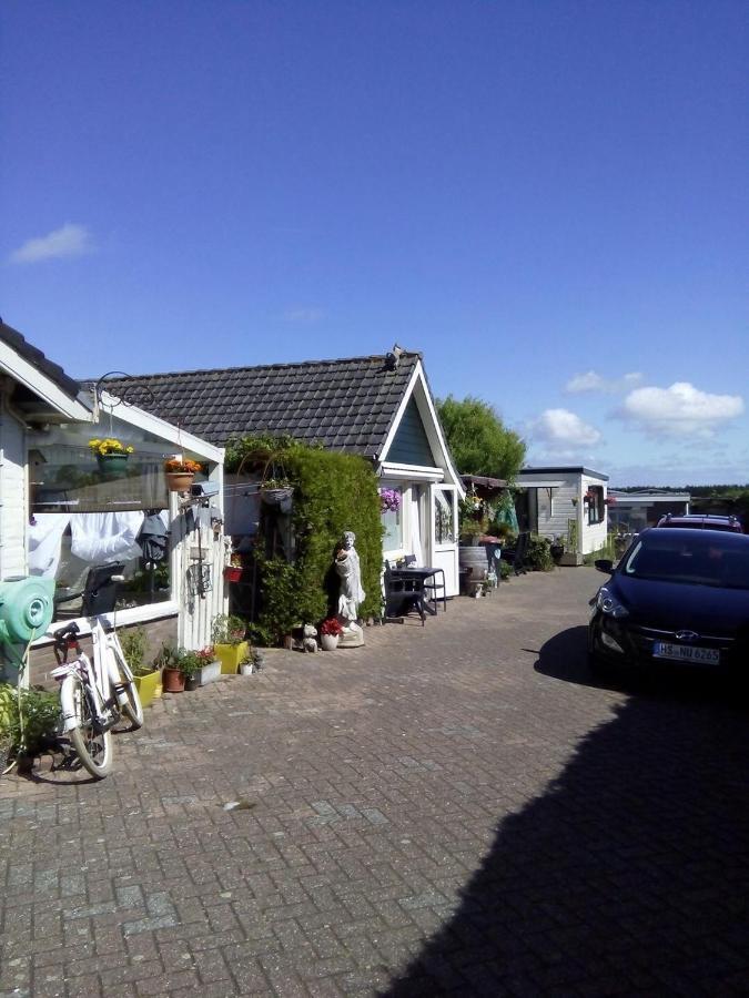 De Vlinder Renesse Villa Eksteriør billede